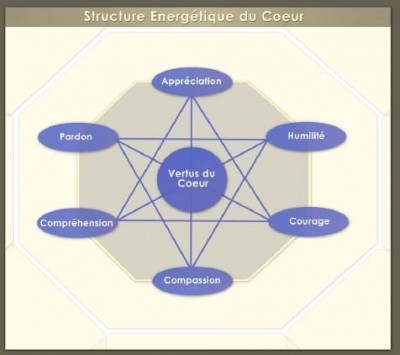 Structure Energ__tique du Coeur.jpg