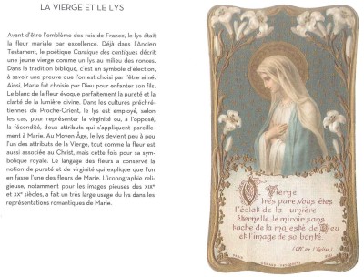 Marie38 la Vierge et le Lys.jpg
